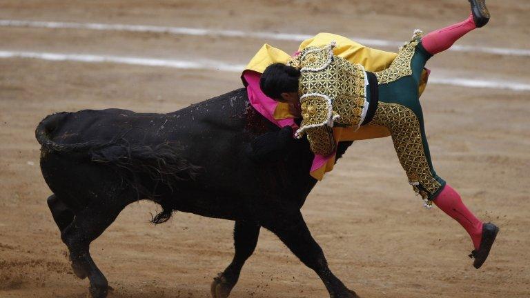 Mexican matador Cesar Ibelles is lifted by a bull during a bullfight in The Mexico bullring in Mexico City 26 August 2012.