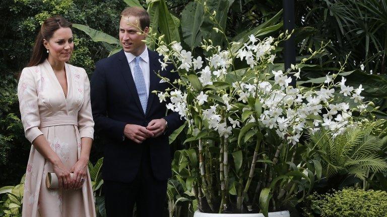 The Duke and Duchess of Cambridge look at an orchid named after Prince William's mother Diana, Princess of Wales during their first engagement in Singapore