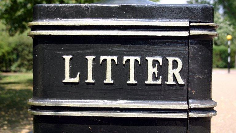 Litter bin