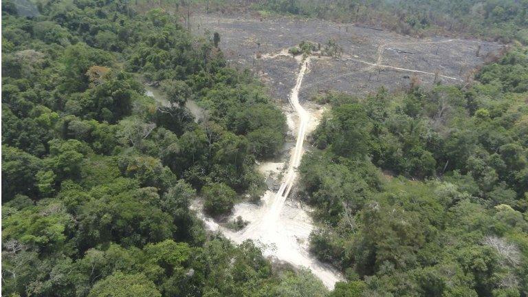 A part of the Amazon rain forest destroyed by farmers and loggers in Para state