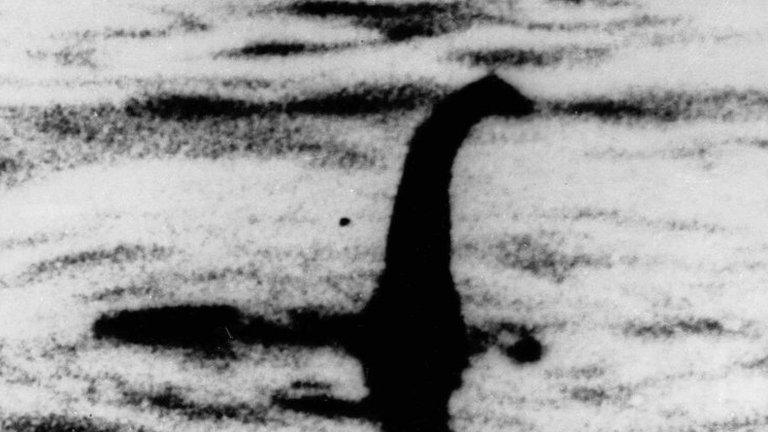 Fake Nessie photo