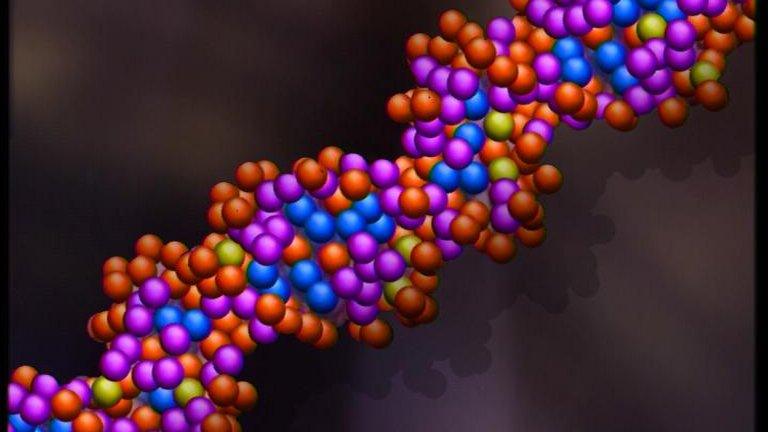 Model of human DNA strand