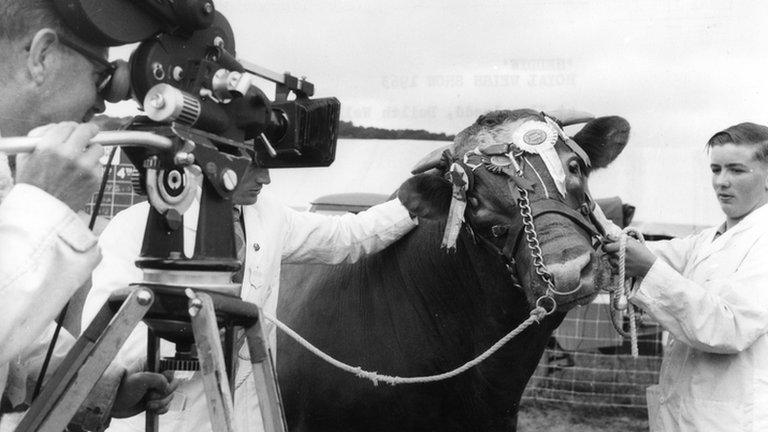 The first Royal Welsh Show held at Llanelwedd in 1963