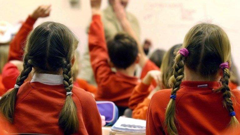 Primary school children
