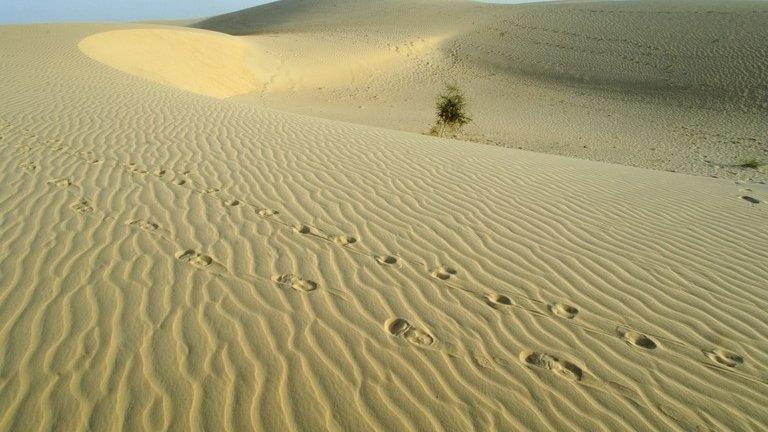 Sahara desert in Mali