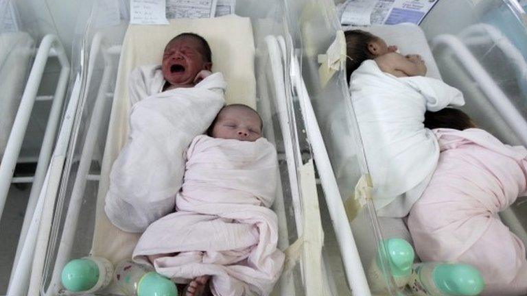 Babies in a maternity ward