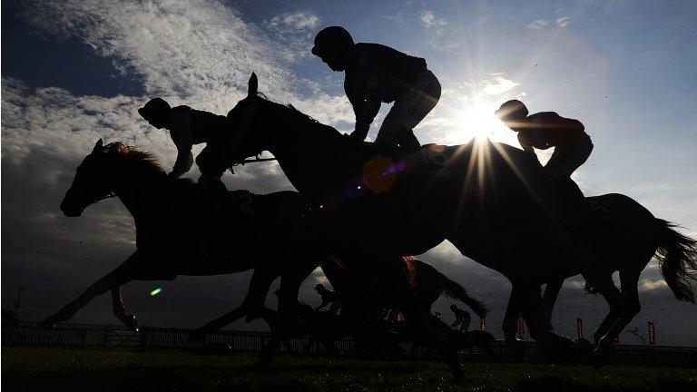 Horses silhouetted at racecourse