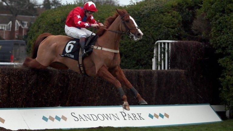 Sire De Grugy wins at Sandown