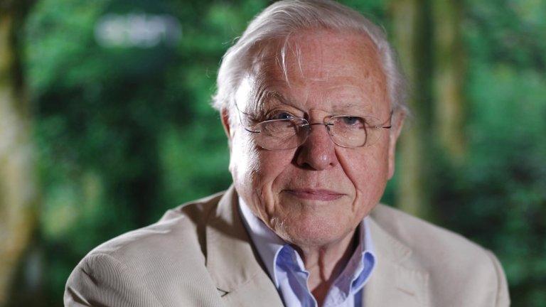 Sir David Attenborough