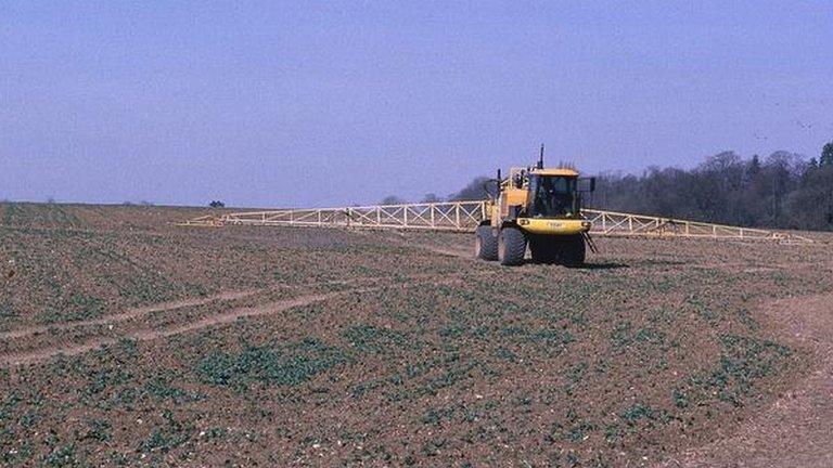 Tractor spraying crops