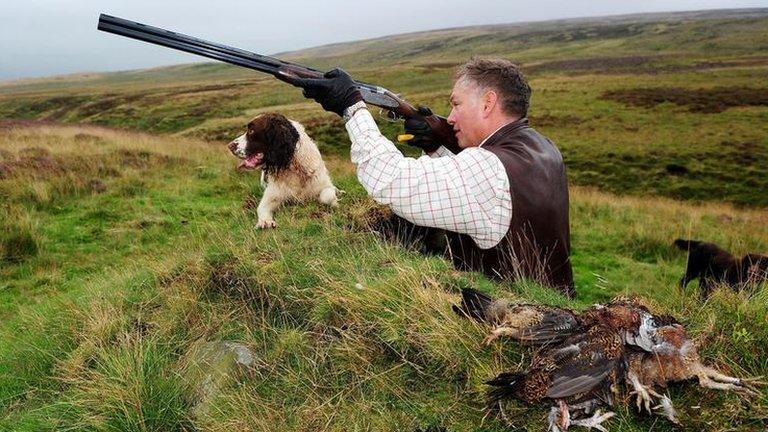 Man shooting grouse