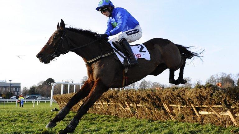 Hurricane Fly at Leopardstown