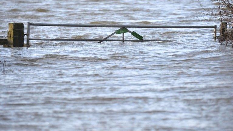 A submerged farm gate near Muchelney in Somerset