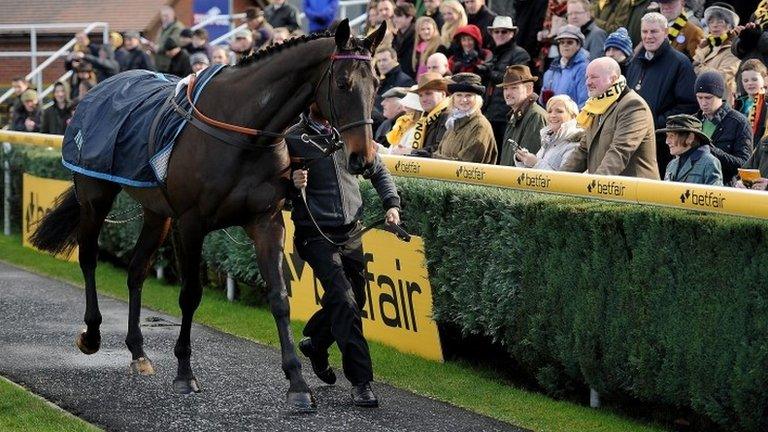 Sprinter Sacre, fitted with a heart monitor, in the Newbury parade ring