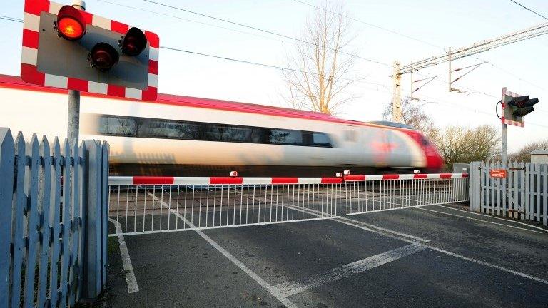 Level crossing and train
