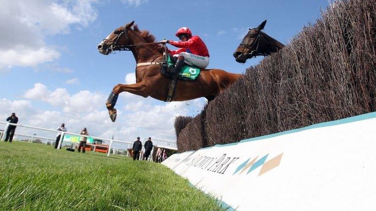 Sire De Grugy at Sandown