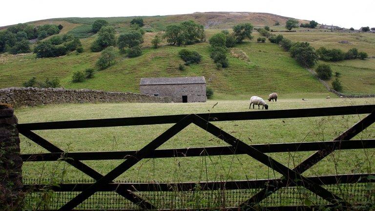 The Yorkshire Dales