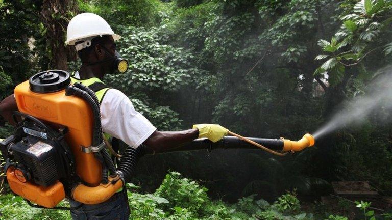 A worker in Haiti fumigates a property for mosquitoes on 23 May, 2014.