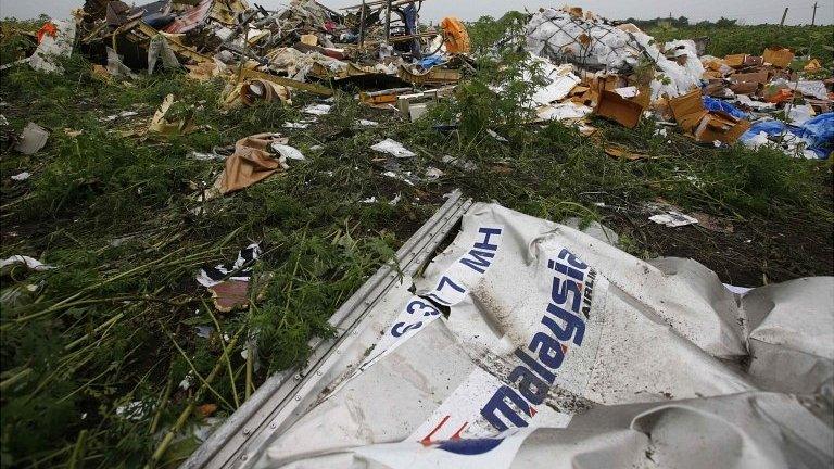 Piece of flight MH17