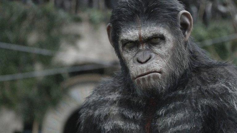 Actor Andy Serkis as ape Caesar