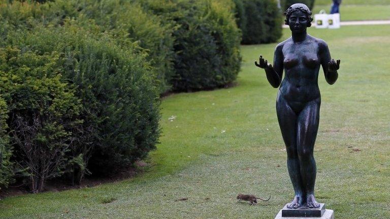 A rat runs past a Maillol statue in the Louvre gardens, Paris, 29 July