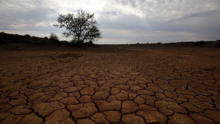 Parched farmland (Image: Reuters)