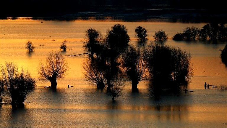 Floods Somerset