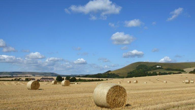 South Downs