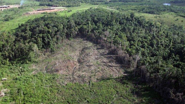 Area cleared of trees in the Anapu region in northern Brazil (04/2005)