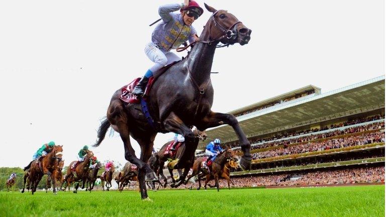 Treve wins the 2014 Arc at Longchamp