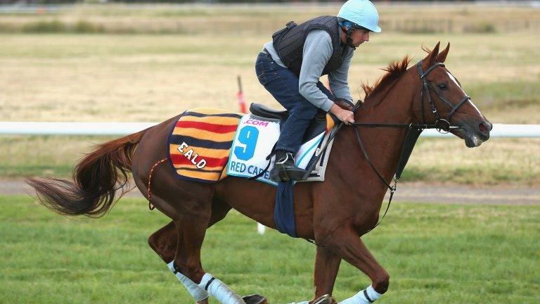 Red Cadeaux working ahead of the Breeders' Cup