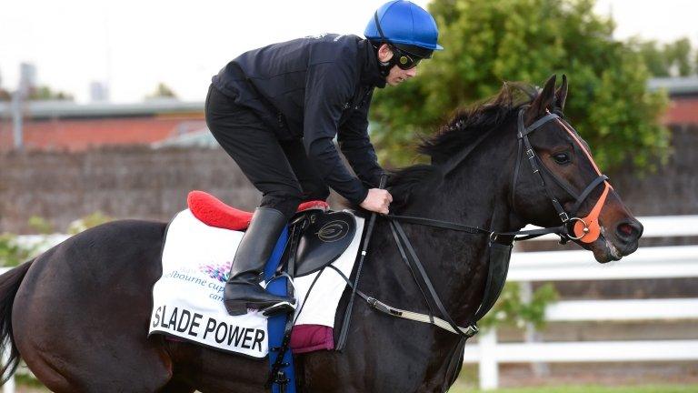 Slade Power in training