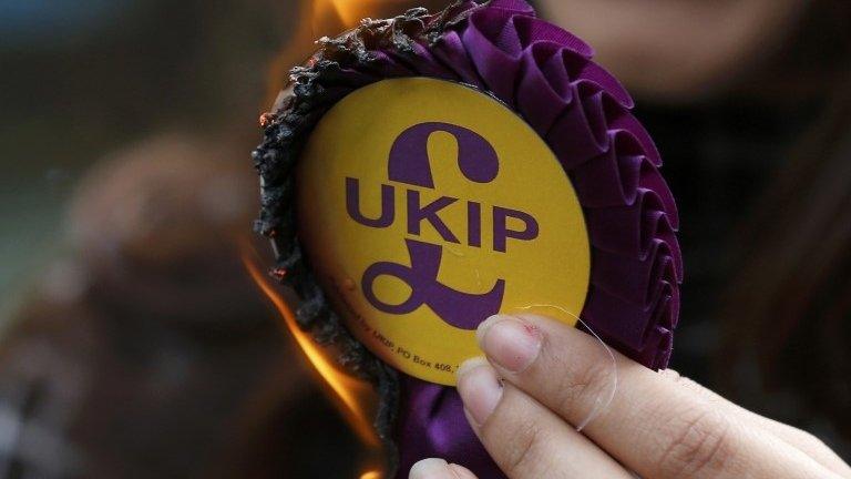 UKIP rosette