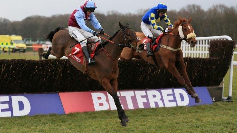 Lie Forrit and Harry The Viking at Haydock