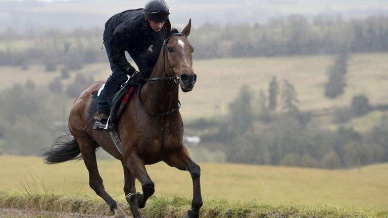 The New One being ridden out on the gallops in Gloucestershire in February 2015