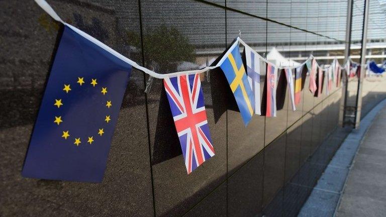 Flags at EC building