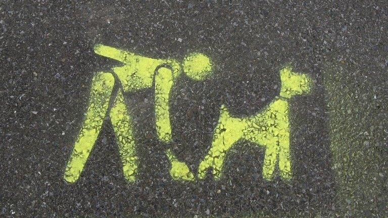 A painted pavement sign telling dog owners to clean up after their animals