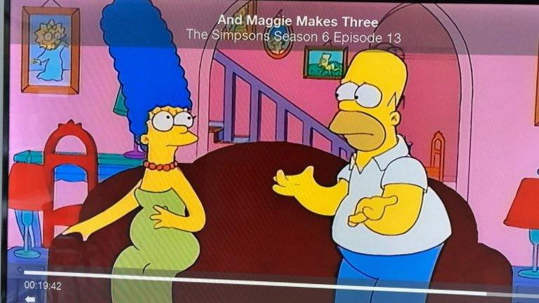 A grab from the Simpsons programme.