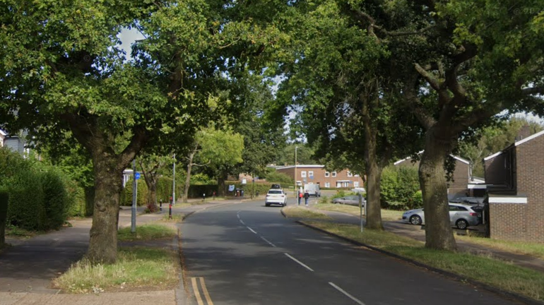 A residential street lined with large trees.