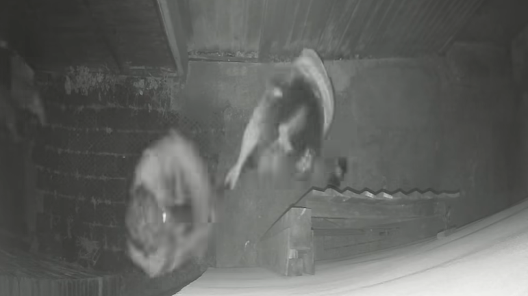 CCTV image of the incident- which captures Catherine hitting the victim on the head