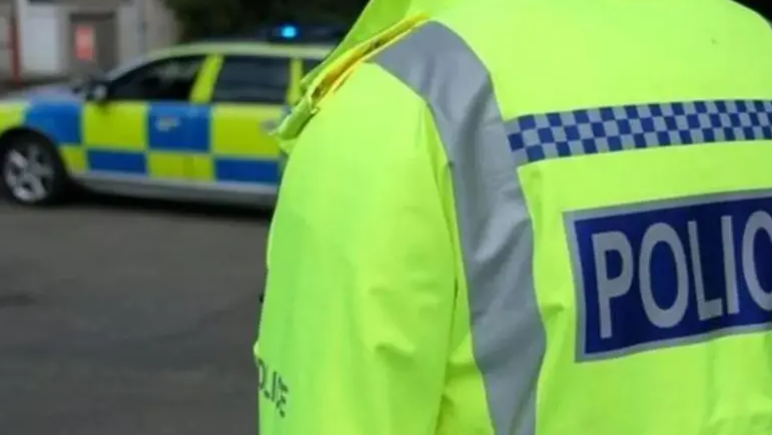 The back of a person wearing a high visibility police jacket. The words on the back of the jacket say 'POLICE' but the image is cropped before the end of the word. In the background is a police car.