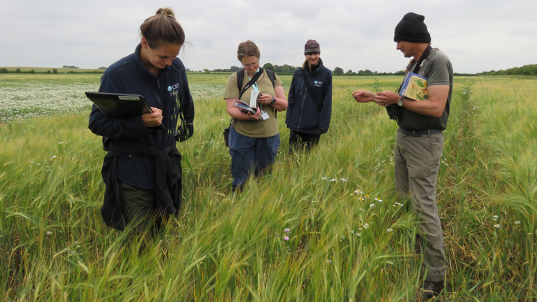 Four people in a field carrying out a survey of flora. The grass is knee-high and there are wildflowers dotted about within it. The four people - two men and two women - carry clipboards to record the results.