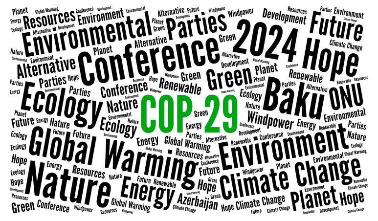 COP29 word cloud