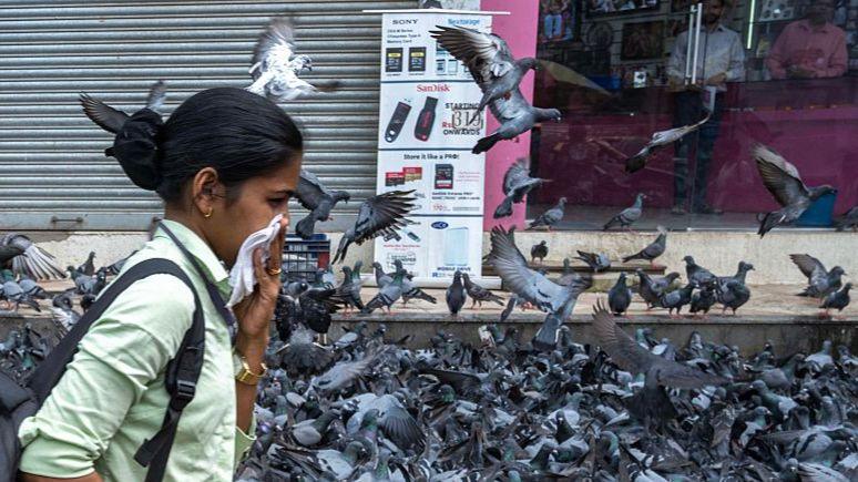 A woman holds a handkerchief over her face as pigeons fly around her