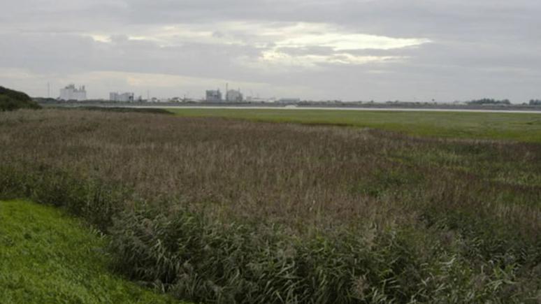 A shot, from a distance, of the former ICI works in Thorton-Cleveleys. It can be seen on the horizon over marsh land