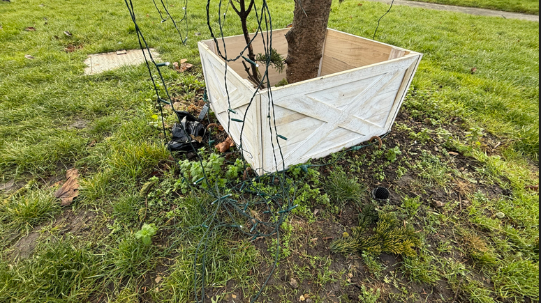 The base of a tree with lights all over the ground.