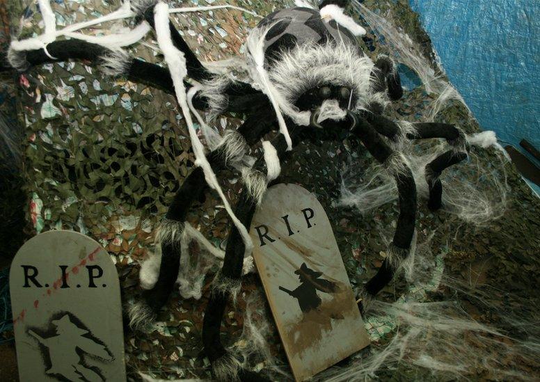 A massive spider in a web