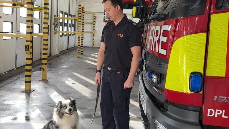 Blue the Australian Shepherd with a member of the brigade