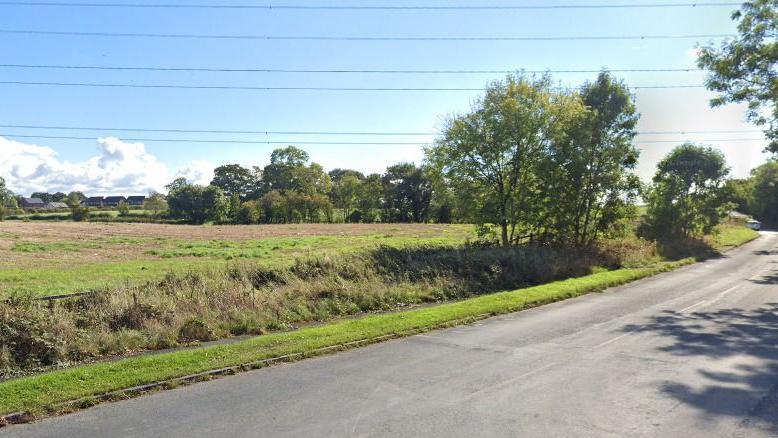 Open field with trees in the foreground of the proposed school site