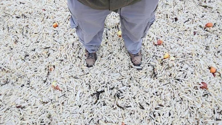 A man standing in thousands of chips.